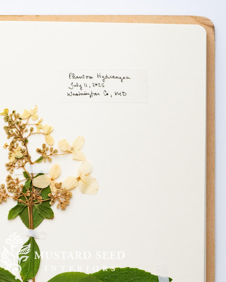 gardening notebook | miss mustard seed