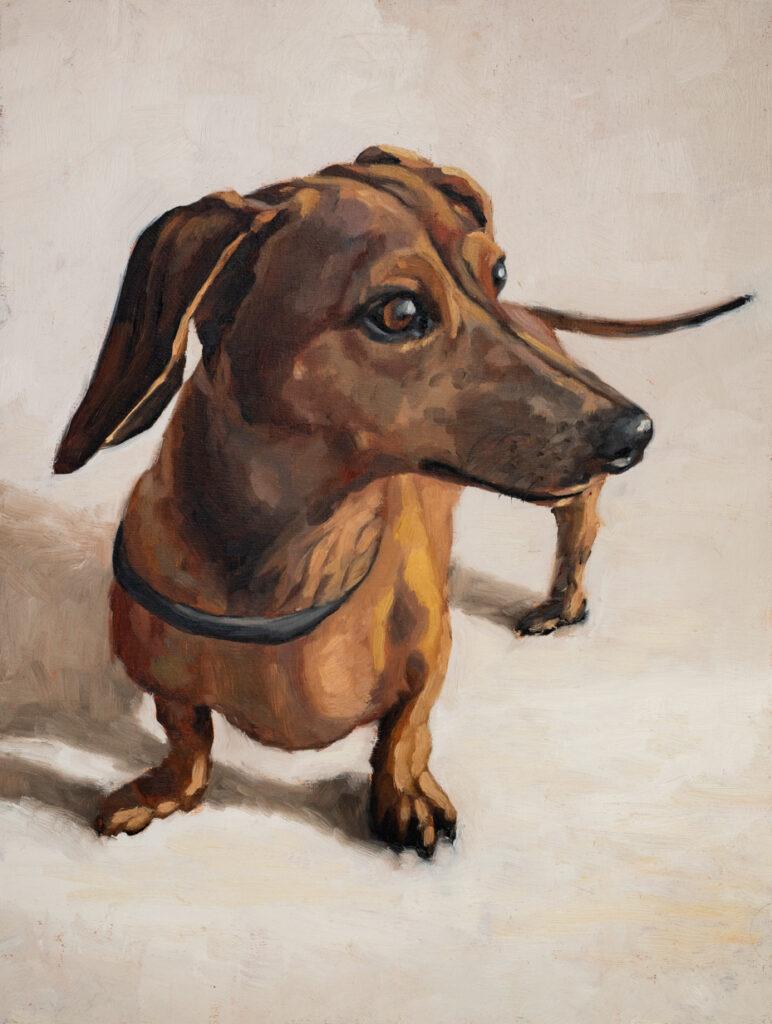 Daschund