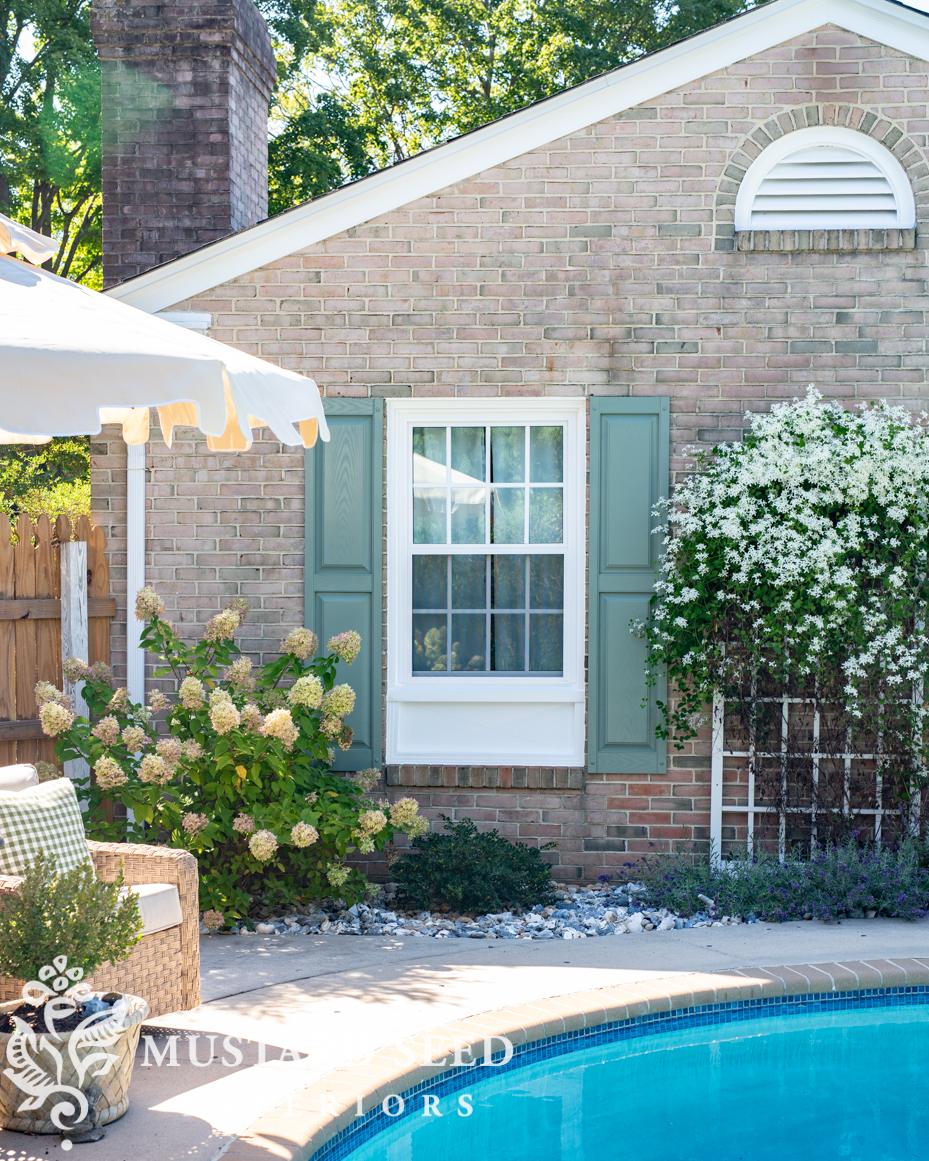 sweet autumn clematis | miss mustard seed