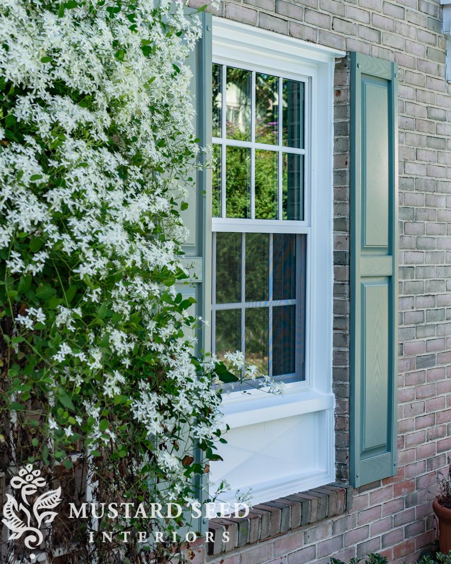 sweet autumn clematis | miss mustard seed