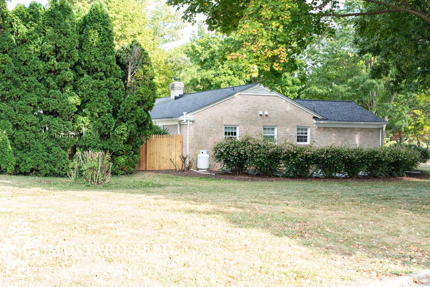hard pruning a mock orange bush | miss mustard seed