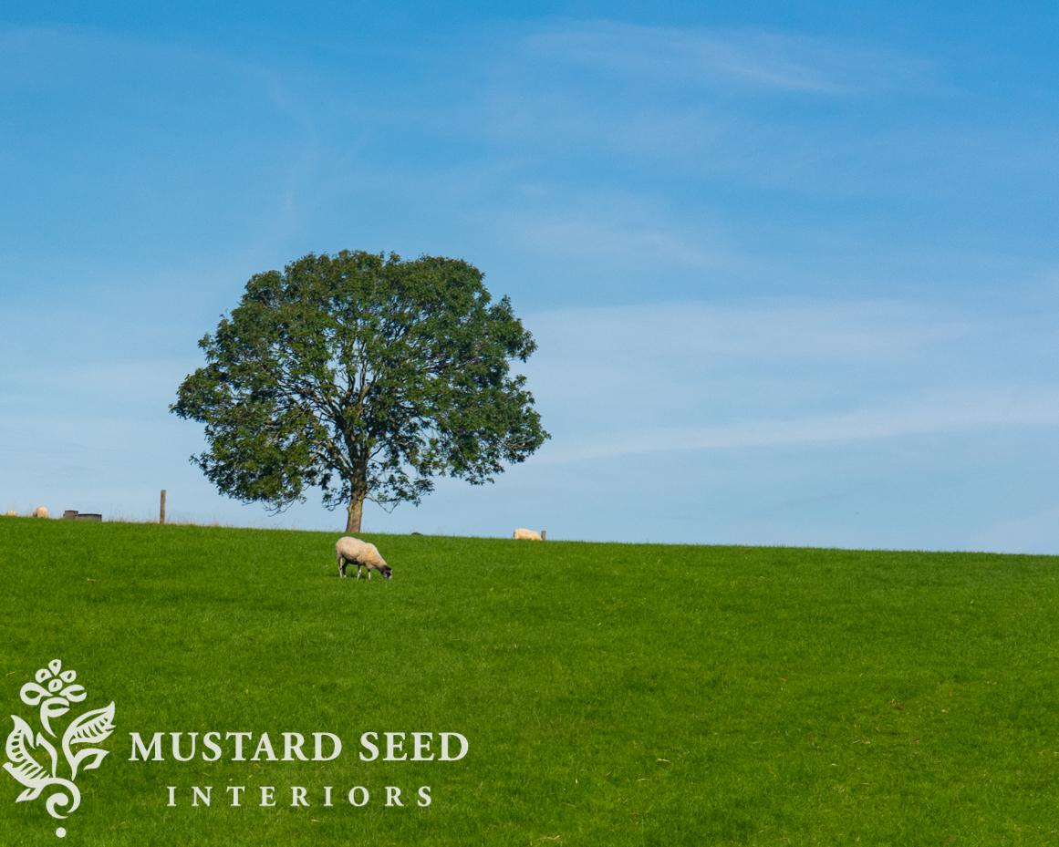 burford | cotswolds england trip | miss mustard seed