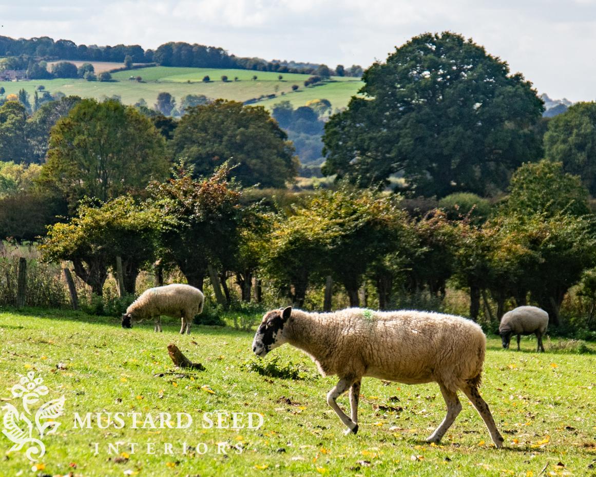 Plein Air Painting at Hidcote Manor | Cotswolds England | miss mustard seed