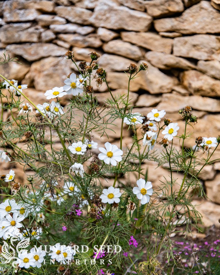 Hidcote Manor Gardens | Gloucester, England, Cotswolds | National Trust Property | miss mustard seed