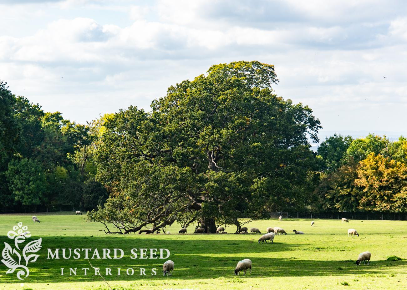 Plein Air Painting at Hidcote Manor | Cotswolds England | miss mustard seed
