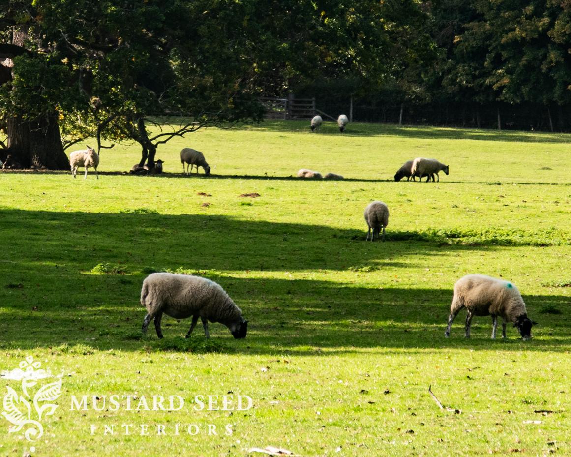 Plein Air Painting at Hidcote Manor | Cotswolds England | miss mustard seed