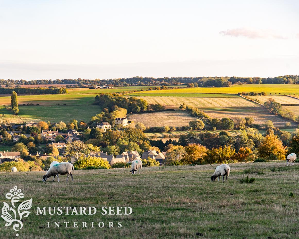 Broadway | Cotswolds, England | miss mustard seed