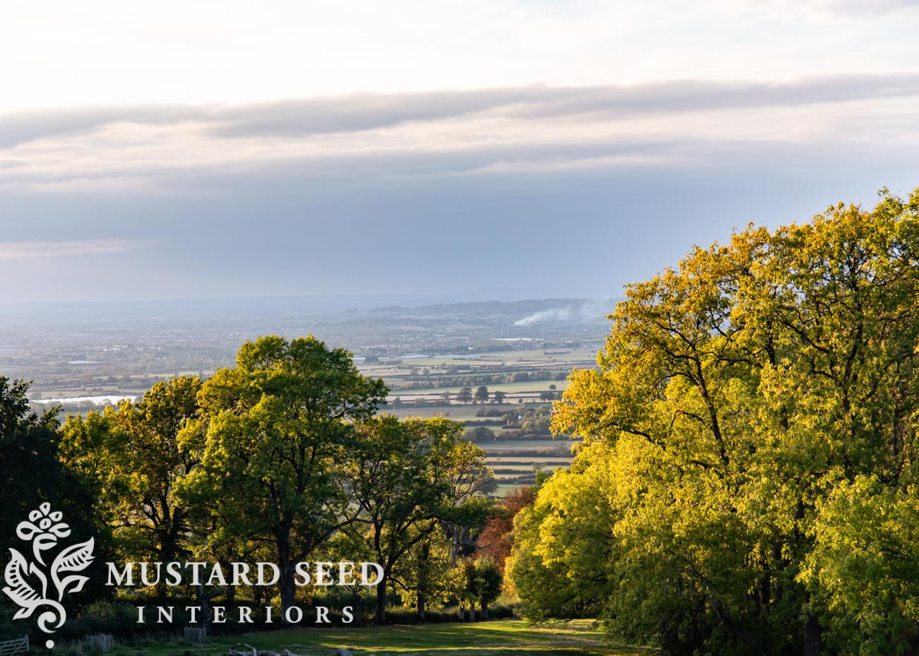 Dover's Hill | Cotswolds, England | miss mustard seed