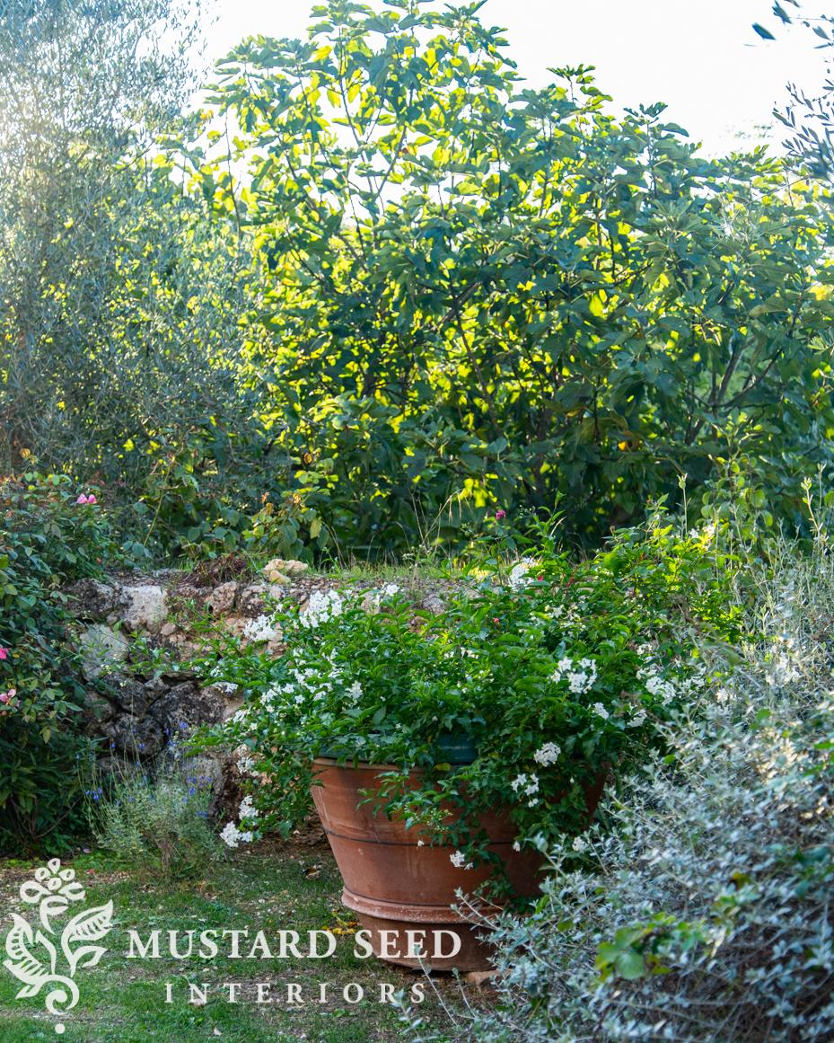 sovicelle, Tuscany | miss mustard seed