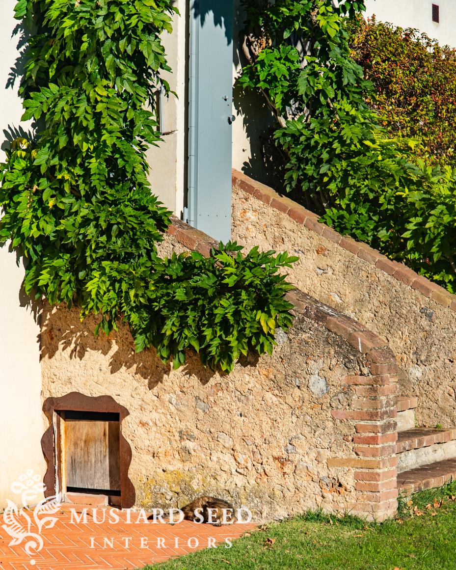 sovicelle, Tuscany | miss mustard seed