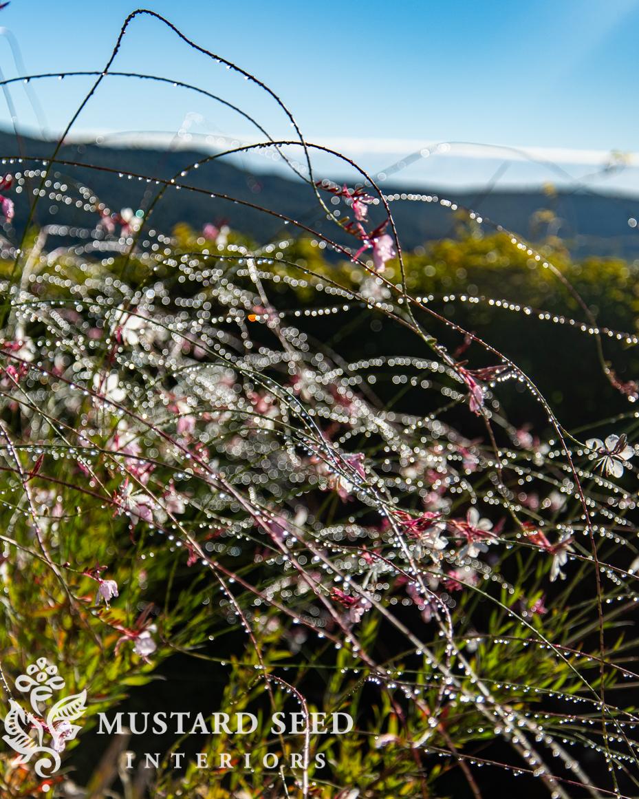 sovicelle, Tuscany | miss mustard seed
