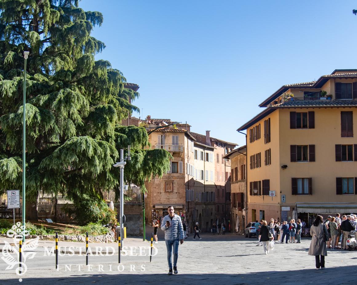 siena, italy | miss mustard seed