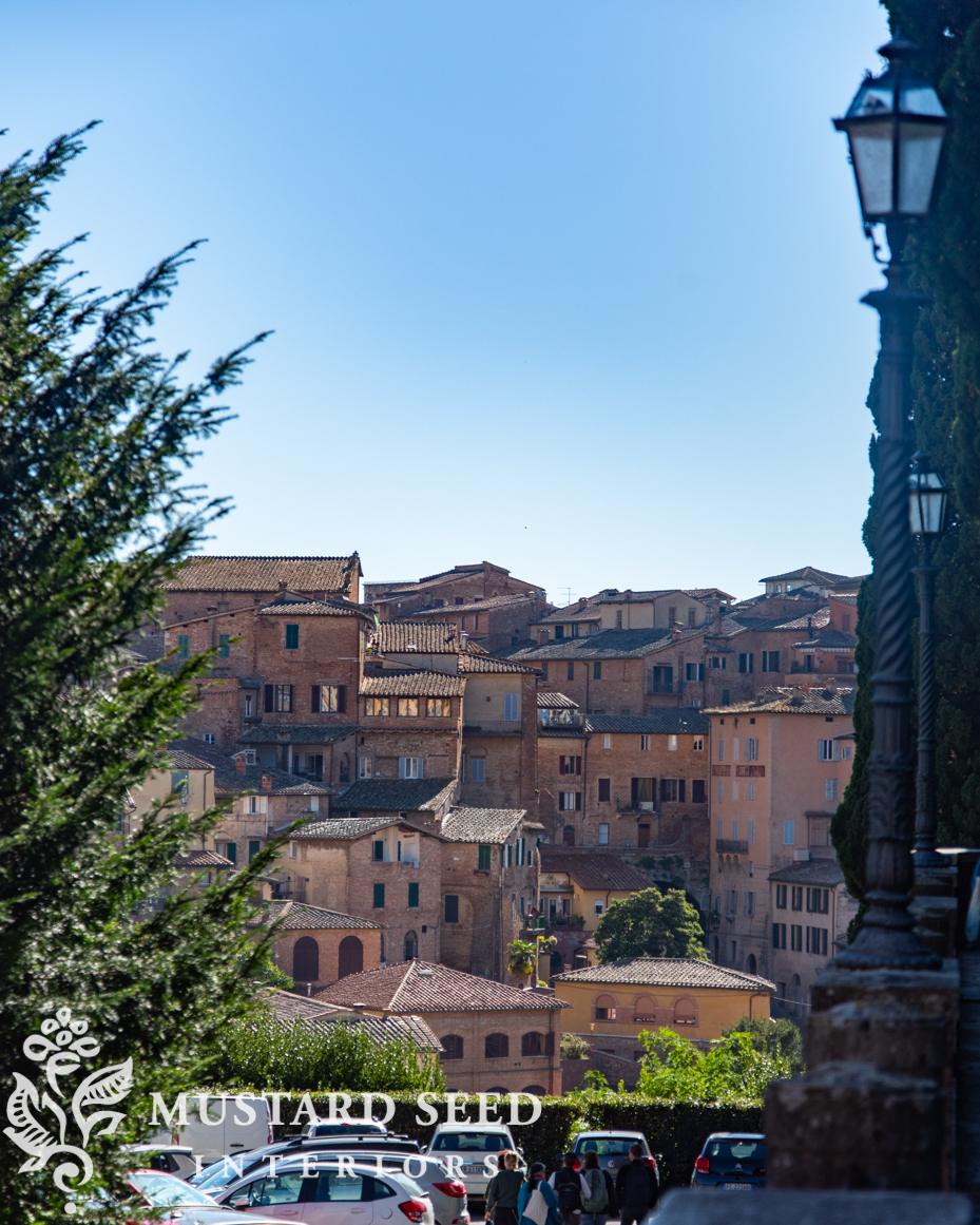 siena, italy | miss mustard seed