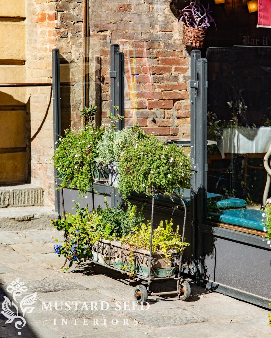 siena, italy | miss mustard seed