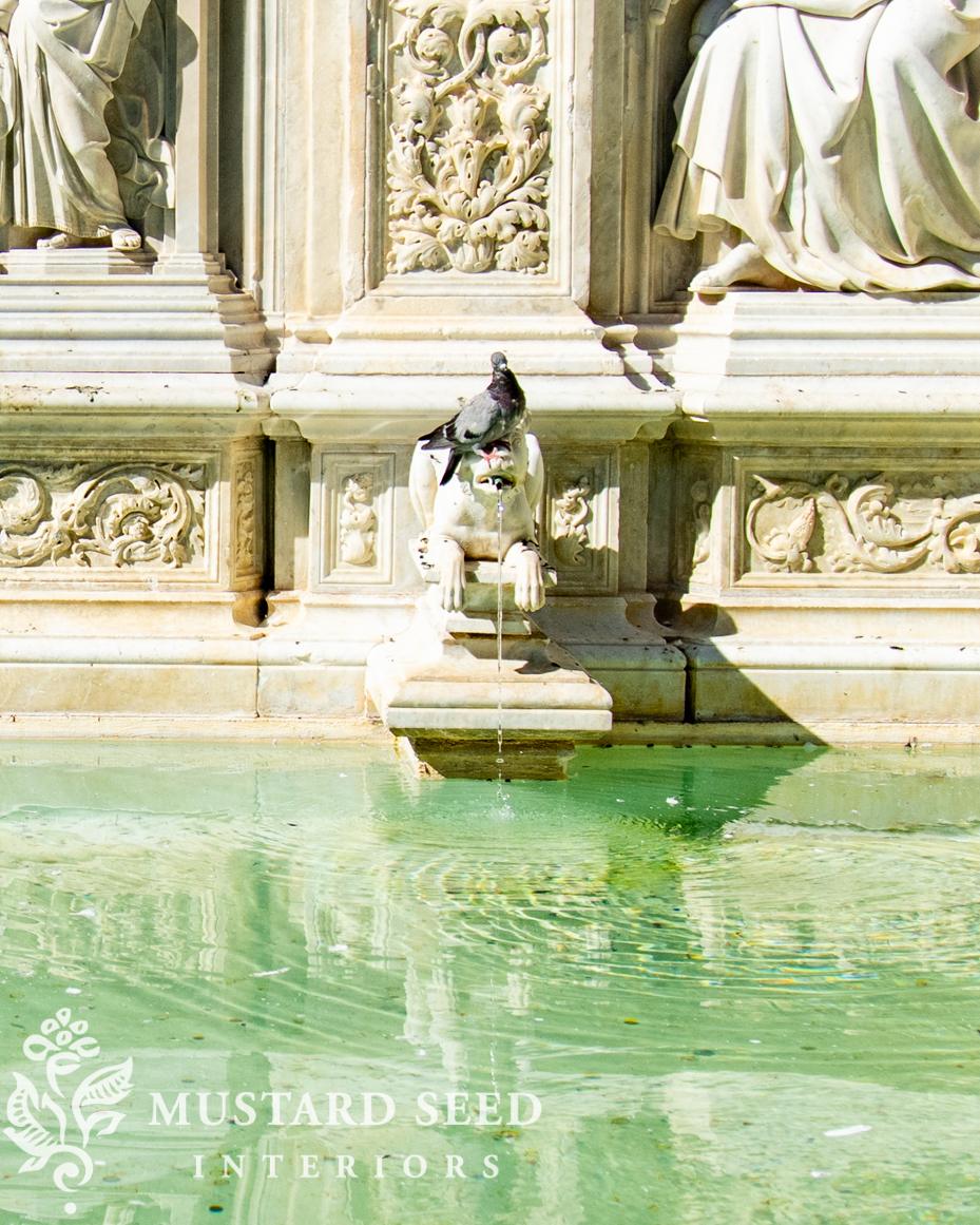 siena, italy | miss mustard seed