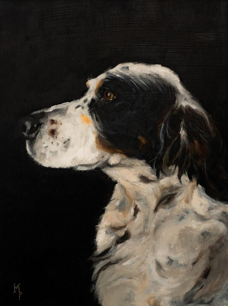 Britany Spaniel