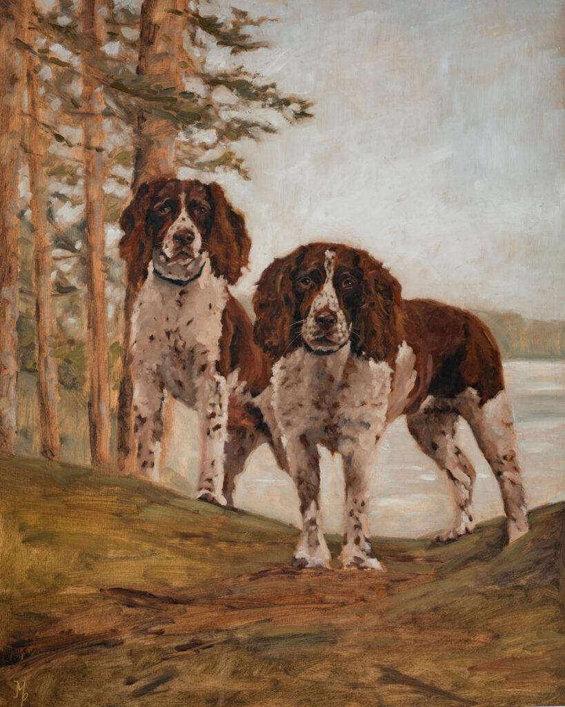 Springer Spaniels – Molly & Cisco