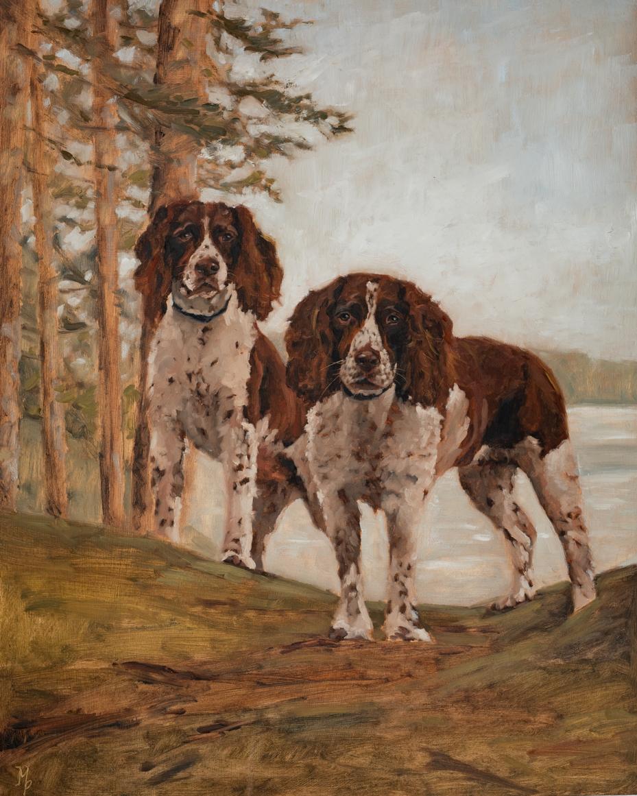Springer spaniel original oil painting | marian parsons fine art | pet portraits | miss mustard seed