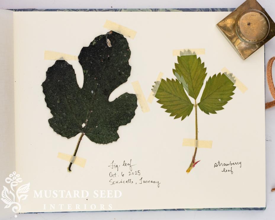 travel journal workshop in Tuscany | Prone to Wander Retreats | miss mustard seed