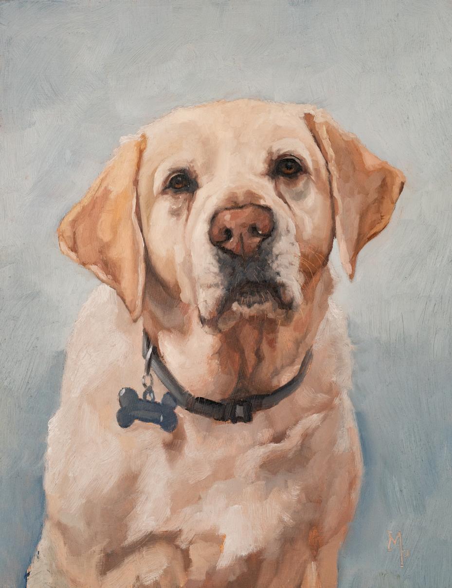marian parsons fine art pet portraits | miss mustard seed