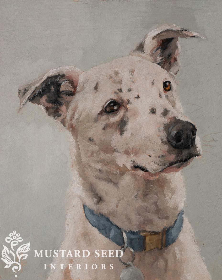 original oil painting | dog portrait | miss mustard ssed