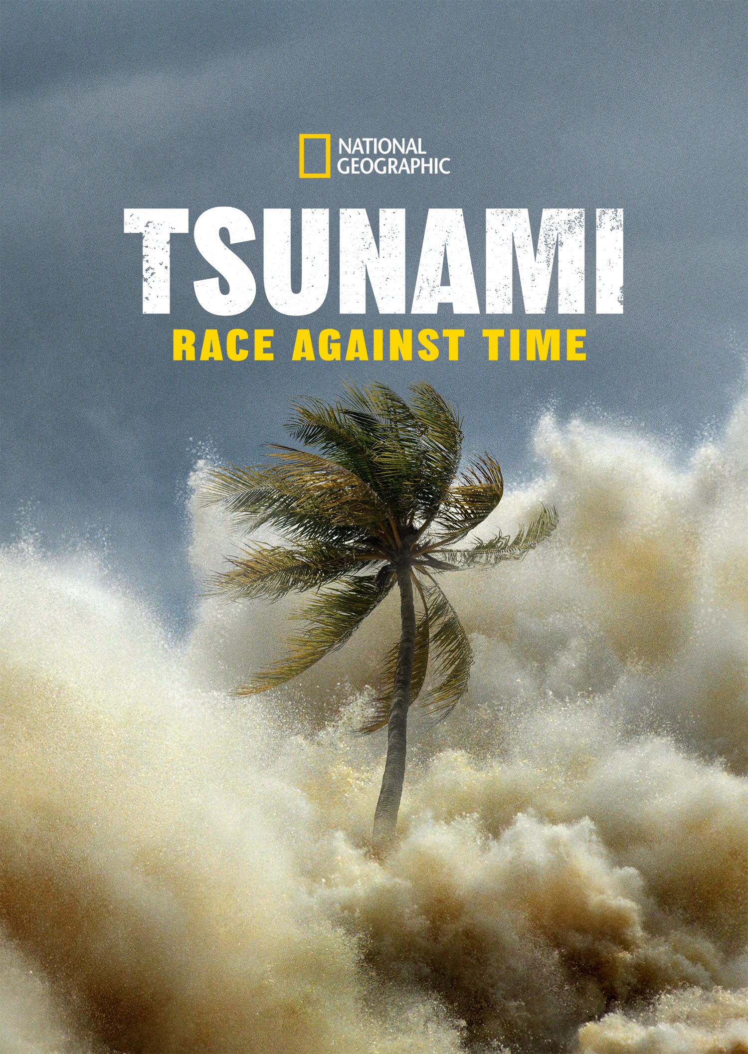 Tsunami Race Against Time | National Geographic