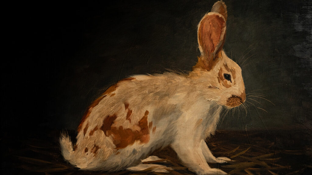 Miss Mustard Seed Bunny 2