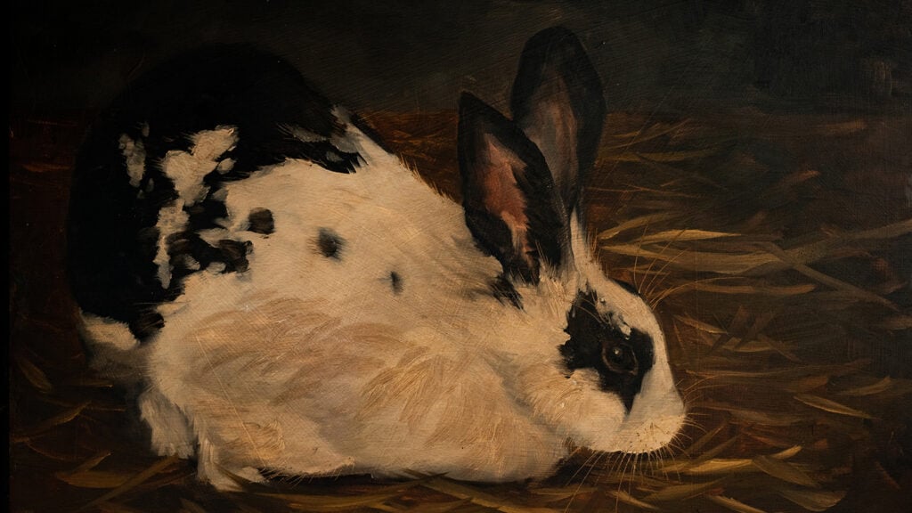 Miss Mustard Seed Bunny 3
