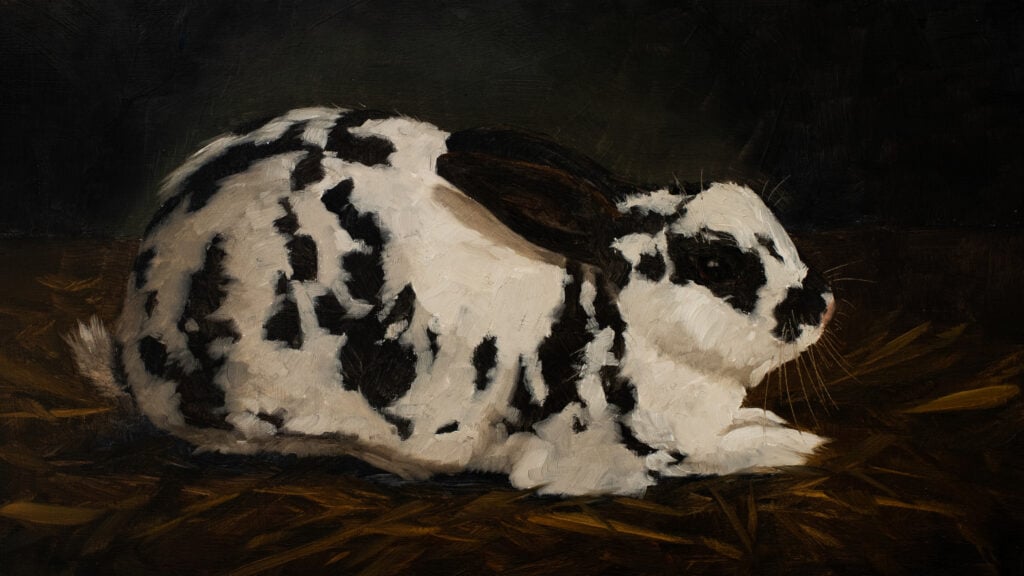Miss Mustard Seed Bunny 4