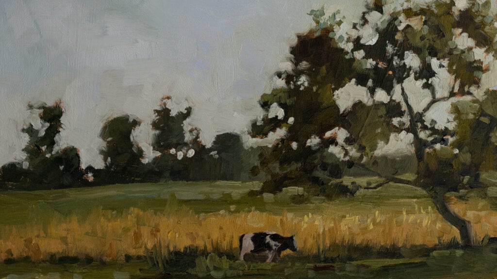 Miss Mustard Seed Grazing Cow with Trees