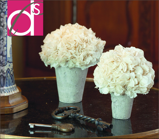 Natural-Preserved-Hydrangea