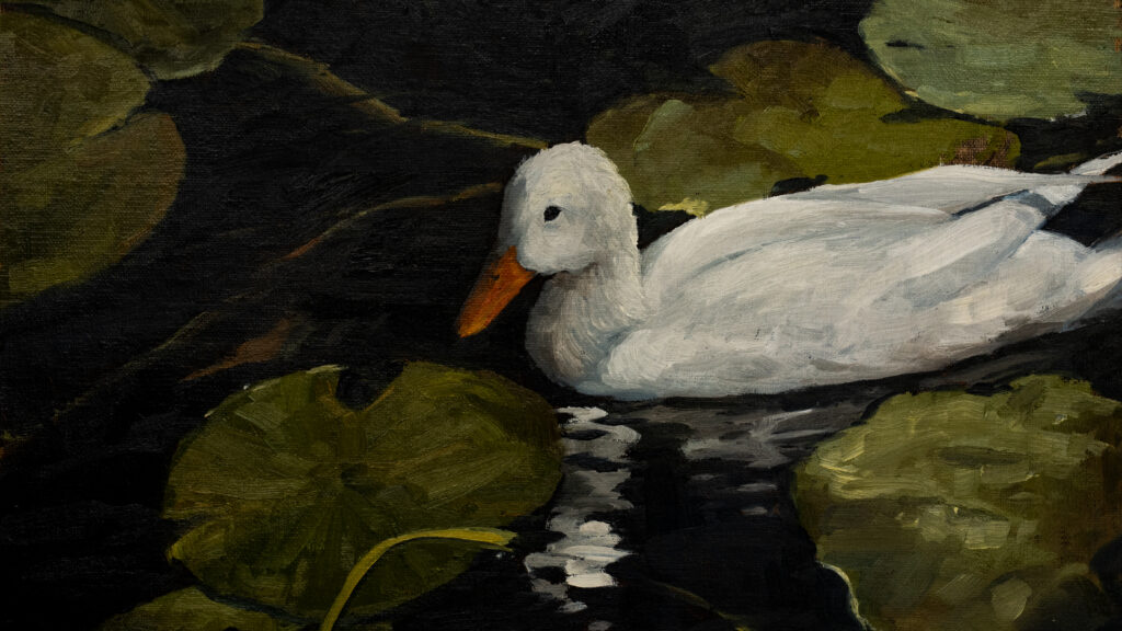 Still Duck with Lilypads