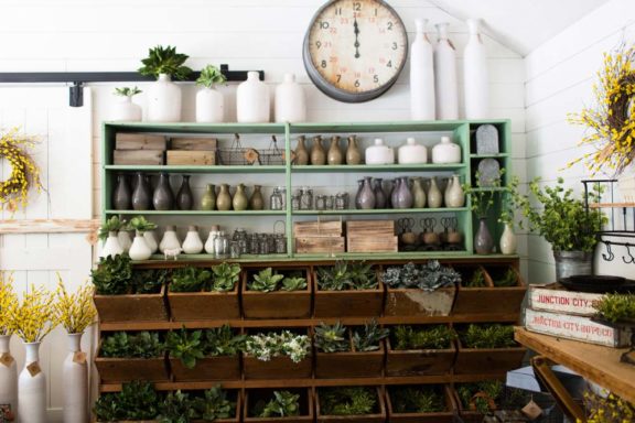 Store-Pic