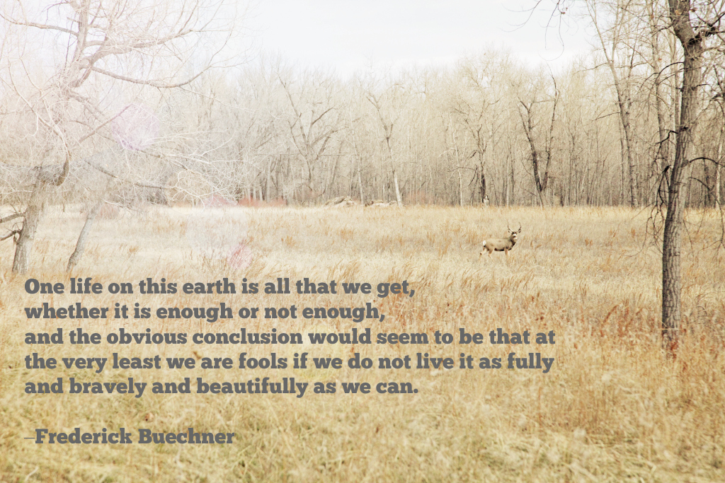 bcmbcoursequote