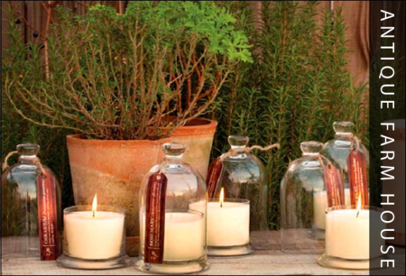 candle-cloches