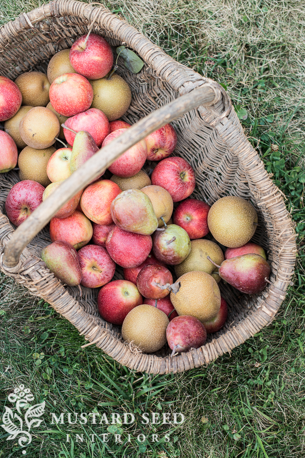 Adams County PA apples | miss mustard seed four things