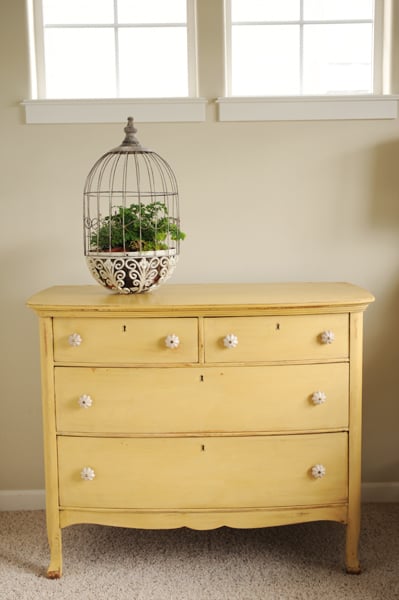 mustard seed yellow (2)