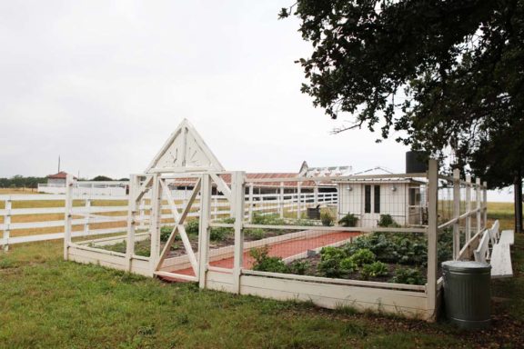 new-garden
